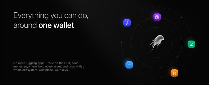A promotional graphic stating "Everything you can do, around one wallet," featuring a jellyfish logo surrounded by various app icons.