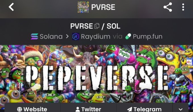 A screenshot of a cryptocurrency page for 'PVRSE / SOL' on the Solana blockchain via Raydium and Pump.fun, featuring the text 'PEPEVERSE' over a colorful collage of cartoon characters.