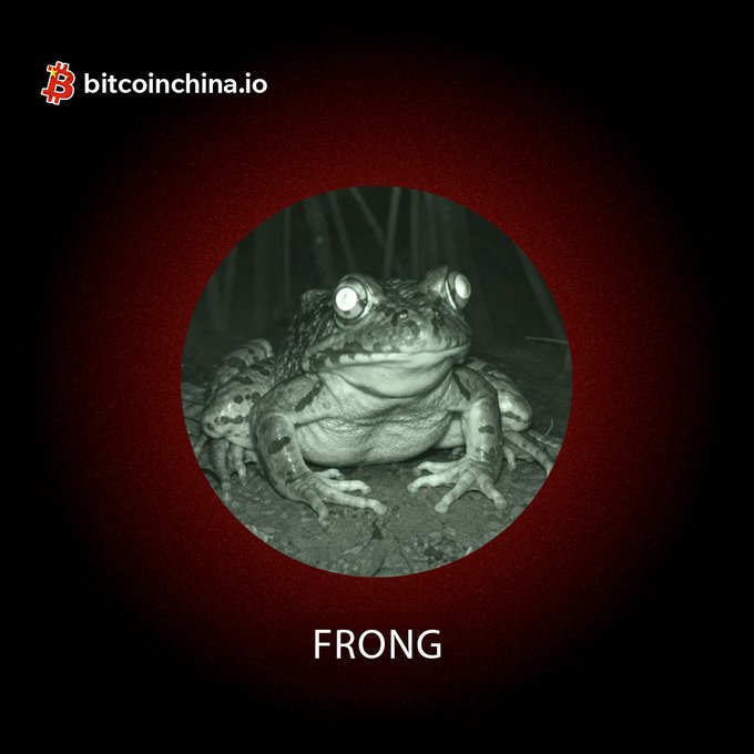 A promotional graphic for the "$FRONG" cryptocurrency token featuring a nighttime photograph of a frog with glowing eyes inside a circular frame, displayed on a dark red background. The top left corner includes the "bitcoinchina.io" branding with the Bitcoin logo, while the word "FRONG" appears below the image, tying into the announcement of the new $FRONG/ETH trading pair.