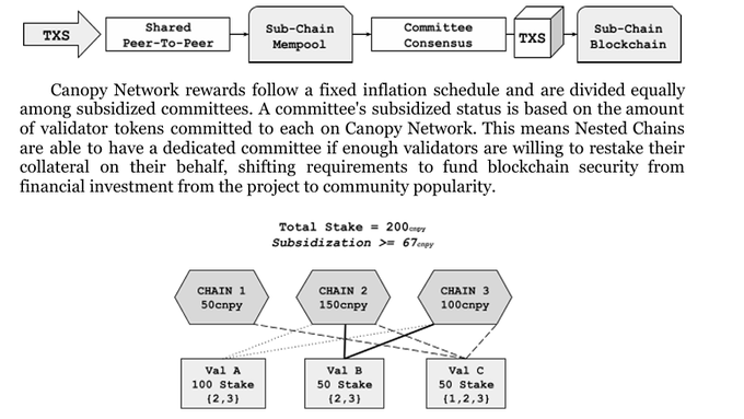 Diagram explaining Canopy Network's inflation reward distribution across sub-chain committees, showing a transaction flow from TXS through Shared Peer-To-Peer to a Sub-Chain Blockchain, with an example of Total Stake = 200 cnpy and Subsidization >= 67 cnpy distributed across three chains.