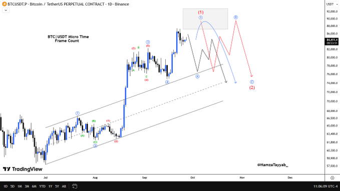A TradingView chart of BTCUSDT.P (Bitcoin / TetherUS Perpetual Contract) on the 1D timeframe showing an Elliott Wave count analysis by HamzaTayyab, with a projected wave structure pointing to a downward wave (2) target around $76,000.