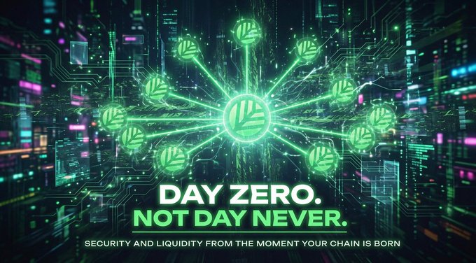 A glowing green network graphic with interconnected leaf-like nodes appears over a dark circuit-board background, featuring the bold text "DAY ZERO. NOT DAY NEVER." and the tagline "SECURITY AND LIQUIDITY FROM THE MOMENT YOUR CHAIN IS BORN." The image visually reinforces the post's message about @CNPYNetwork providing essential infrastructure that drives real, foundational value in Web3 rather than relying on hype.