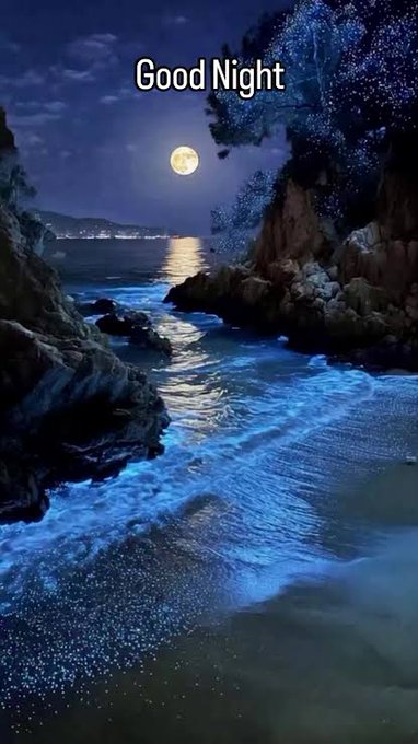The image features a beautiful nighttime beach scene, with a full moon illuminating the sky above the ocean. The water appears blue-green, reflecting the moonlight. In the foreground, there are rocks that add texture to the landscape. A caption below the photo reads "Good Night Web3 Stay active on base app See you tomorrow with @base @jessepollak @baseapp".