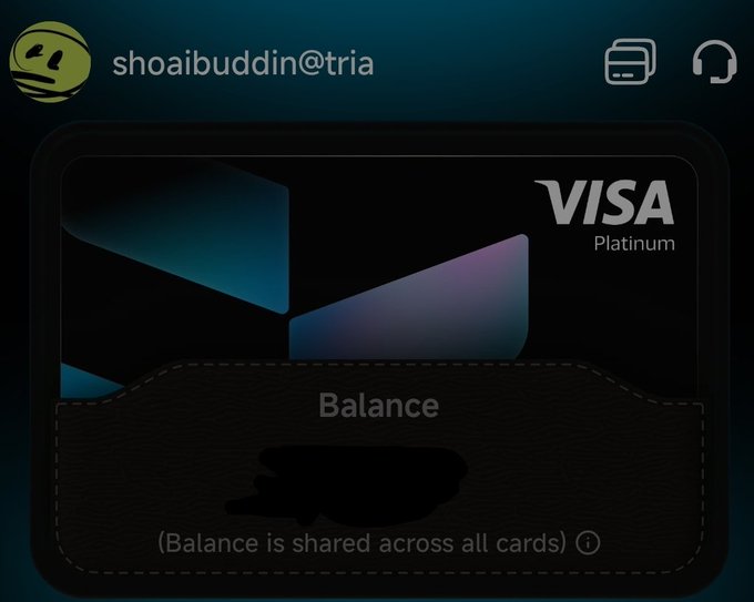 "Shoaibuddin @tria" is written above a Visa balance picture. The post suggests that balance is shared across all cards, so if there are multiple cards displayed in a single image or a user has multiple Visa balances, they can easily see and manage their overall balance without having to look at each individual card's details.