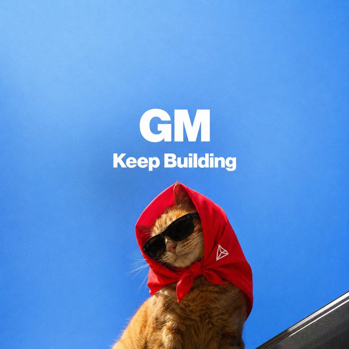 The image features a cat wearing sunglasses, a red scarf or bandana, and possibly a hat with a triangle design. The background of the image is blue, which contrasts nicely with the orange fur of the cat. The caption "GM! Touch grass. Keep building." suggests that there might be some connection between the cat's attire and the concept of touch-based gardening, where people use their hands to interact with plants instead of using tools like shovels or trowels.
