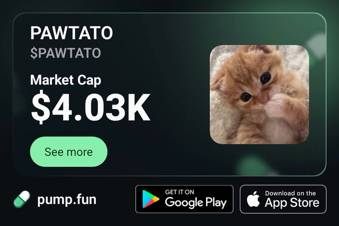 A promotional graphic for the $PAWTATO cryptocurrency token on pump.fun, showing a market cap of $4.03K alongside an image of an orange kitten, with Google Play and App Store download buttons.