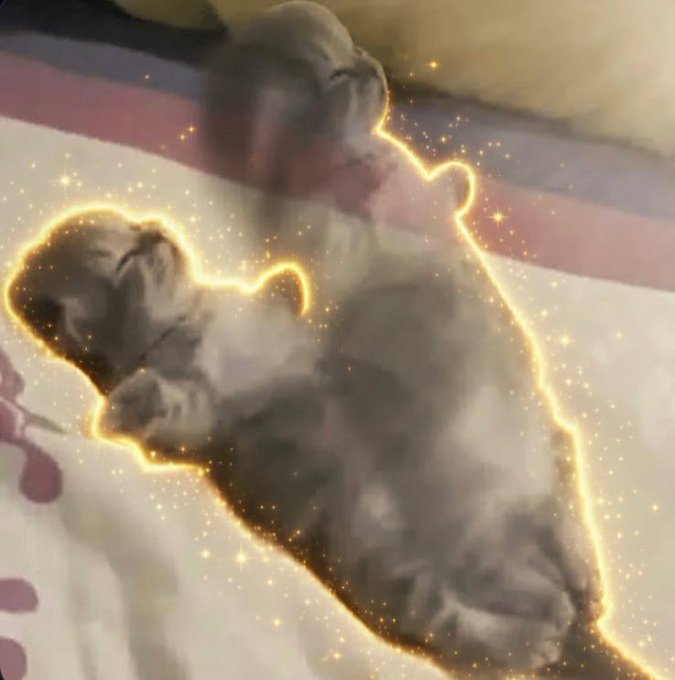 The image features a cat laying down on its back, surrounded by a bedspread that has yellow and pink stars scattered across it. The cat appears to be sleeping or resting comfortably. In the background of the photo, there are some text elements related to the social media platform Instagram, including the caption "They sent the SOL pair to 231M and its sitting at 12m today, while usdc pairs are kicking ass we all know which pair has the most aura now." The image also contains a link that says "here" in the bottom right corner.
