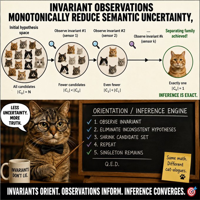 An educational infographic titled 'INVARIANT OBSERVATIONS MONOTONICALLY REDUCE SEMANTIC UNCERTAINTY' showing a process of narrowing down cat candidates through observations, featuring a professor cat in a bowtie pointing to a chalkboard listing the 'ORIENTATION / INFERENCE ENGINE' steps.