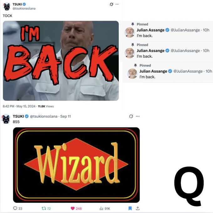 A Twitter/X feed from TSUKI (@tsukionsolana) showing pinned tweets from Julian Assange saying 'I'm back' alongside a 'BACK' meme image, followed by a 'Wizard' logo post with 91K views.
