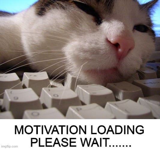 A cat rests its face on a keyboard with the caption "MOTIVATION LOADING PLEASE WAIT........", humorously illustrating the post's joke about motivation being stuck pending and crypto-blockchain metaphors for needing time to "confirm" before starting the workweek.