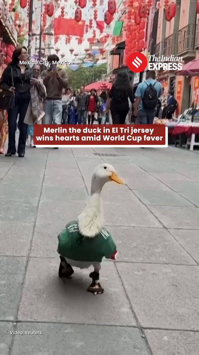 The image features a duck wearing a green shirt with white trim walking down a sidewalk. The duck has large feet that are clearly visible as it walks along the street. There are several people around, some carrying handbags or backpacks, indicating an urban setting. A text overlay on the image reads "Merlin the duck wins hearts amid World Cup Fever" and "The Living Express".