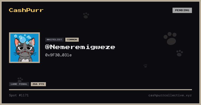 A 'CashPurr' profile card displaying the username '@Nemeremigweze' with a pixel art cat avatar labeled 'LAKE FERAL' and 'COMMON' tag, along with address '0x9F30...031e'.