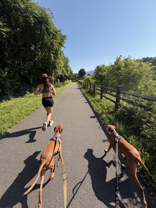 A woman jogs down a tree-lined paved trail with two dogs on leashes, while a man follows behind holding leashes for both dogs. The image captures the couple's active lifestyle together with their pets, illustrating the "run" referenced in the caption about how their relationship began when she was an intern at Barclays a decade ago.