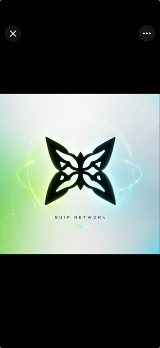 A mobile app screen displaying a black butterfly or moth logo with the text "QUIP NETWORK" against a glowing green and blue gradient background.