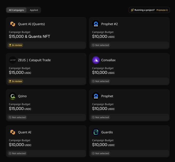 A dark-themed dashboard listing various crypto campaigns including 'Quant AI (Quants)' with a $15,000 & Quants NFT budget, 'Prophet #2', 'ZEUS | Catapult Trade', 'Convallax', 'Qzino', and others, mostly marked as 'Not selected' or 'In review'.