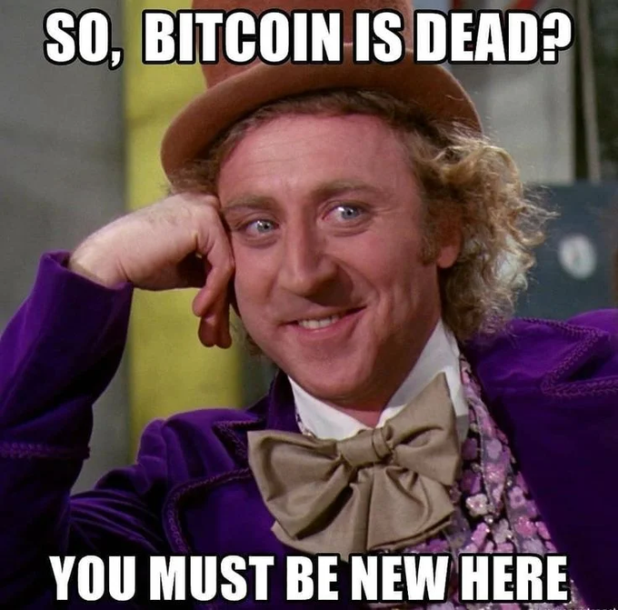 A meme featuring Gene Wilder as Willy Wonka with the caption "SO, BITCOIN IS DEAD? YOU MUST BE NEW HERE," sarcastically mocking novice investors who panic over minor price dips in $BTC.