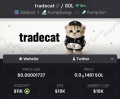 A tradecat website showing token information with header 'tradecat SOL 3m' and trading pairs including 'Solana', 'PumpSwap V3', 'Pump.fun', with details like Price USD $0.00001737 and Price 0.0₈1461 SOL.
