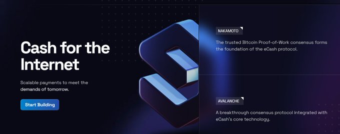 A dark-themed website banner titled 'Cash for the Internet' advertises scalable payments with a 'Start Building' button, alongside information about Nakamoto consensus and Avalanche breakthrough protocol.