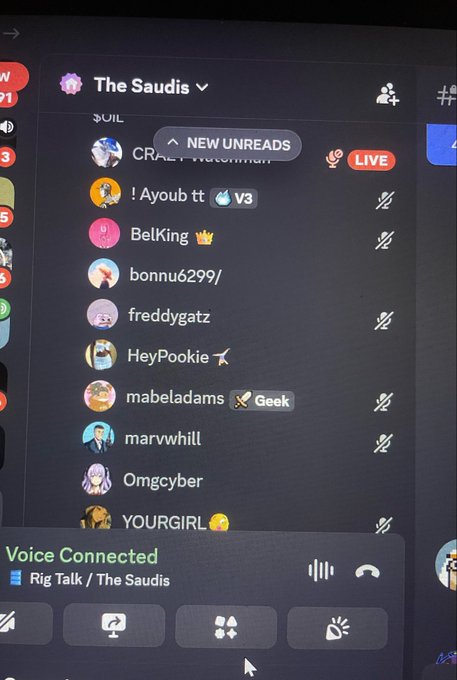 A Discord server called 'The Saudis' showing a list of online members and a voice channel 'Rig Talk' that is currently active.