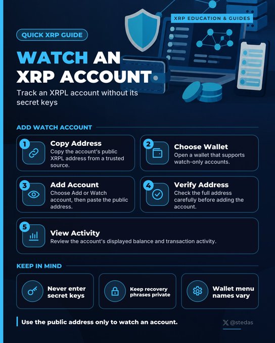 An infographic titled 'WATCH AN XRP ACCOUNT' - a Quick XRP Guide explaining how to track an XRPL account, with steps: Copy Address, Choose Wallet, Add Account, Verify Address, View Activity, and reminders to never enter secret keys.