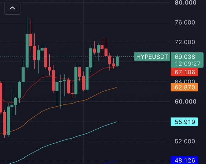 A candlestick chart for the HYPEUSDT trading pair on Hyperliquid shows the current price at 69.038 (down from a recent peak near 76.000), with moving averages at 67.106, 62.870, 55.919, and 48.126 displayed on the right—the visual evidence of the "selling a $800 coin for $69" sentiment referenced in the post.