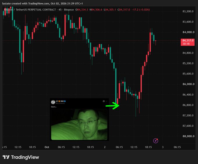 A TradingView candlestick chart of Bitcoin/Tether PERPETUAL CONTRACT on Binance with an inset meme image of a person marked by a green arrow.