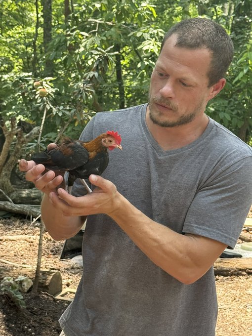 A man with short hair and a gray v-neck t-shirt stands outdoors in a wooded area holding a small black and reddish-brown chicken in his cupped hands.