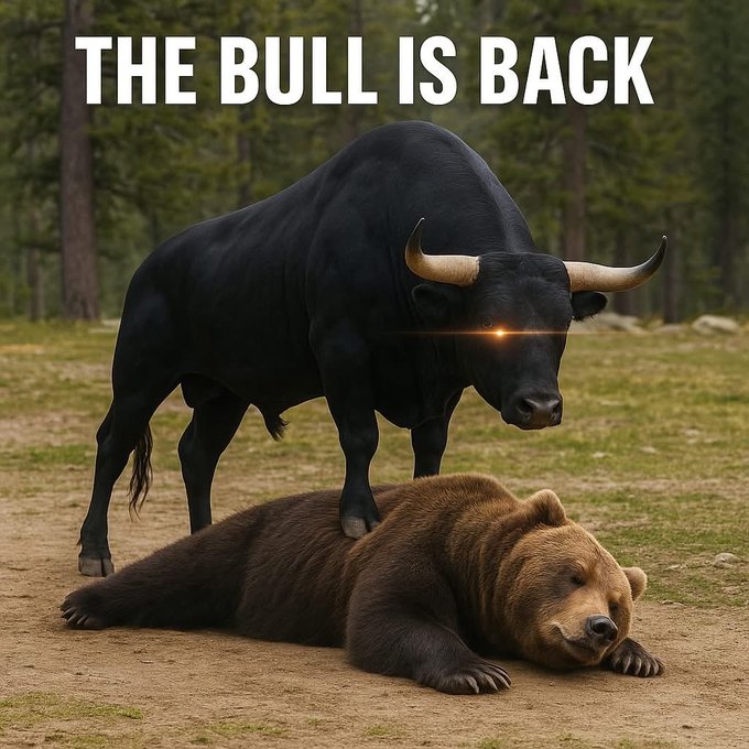 An edited image showing a large black bull standing over a sleeping brown bear in a forest, with bold white text reading 'THE BULL IS BACK' across the top.