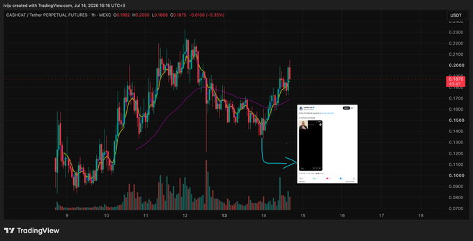 A TradingView 1-hour candlestick chart of CASH/USDT (Cashtag/Tether Perpetual Futures) on MEXC, showing price action around 0.1875 with a -5.35% change, featuring a small image overlay pointed to by an arrow.