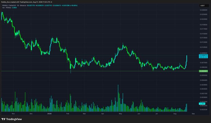 The image displays a TradingView candlestick chart for the PE/USDT pair (Pudgy Penguins) on Binance, showing the price action from late 2024 through August 2025, with the most recent daily candle closing at 0.009519 (a +6.00% gain) near $0.009, indicating an upward pump that aligns with the post's bullish sentiment about $PENGU.