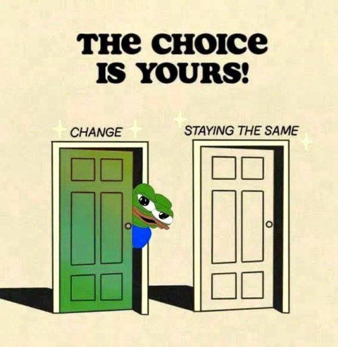 A motivational meme with text 'THE CHOICE IS YOURS!' showing two doors labeled 'CHANGE' and 'STAYING THE SAME', with a sad Pepe the Frog peeking from behind the green door.