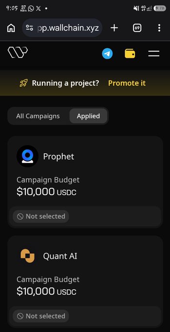 The image shows a phone screen displaying information about a campaign for a cryptocurrency called Quant. The app is open, and there are several options available, including running a project or promoting it. The user interface has a black background with white text, making it easy to read. The main focus of the post is on the Quant campaign, which is being promoted by Wallchain.