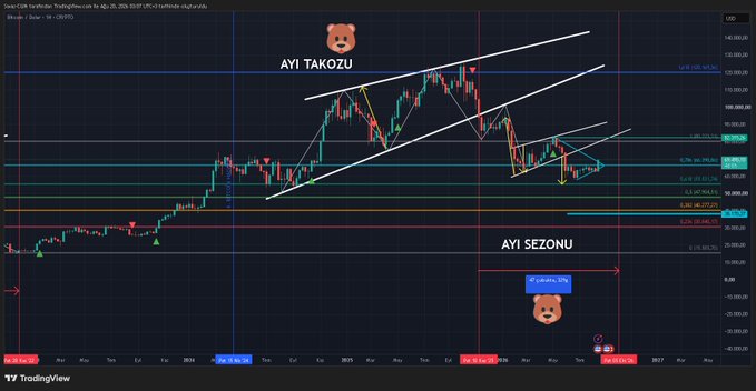 The image shows a TradingView chart of Bitcoin/US Dollar Perpetual (BTCUSDT.P) with Turkish annotations "AYI TAKOZU" (bear wedge) and "AYI SEZONU" (bear season), illustrating a bearish pattern that contrasts with the user's bullish spot BTC purchase triggered after breaking the $66,390 resistance level. The candlestick chart spans from 2024 through 2026, with horizontal support/resistance levels marked and the current price area highlighted in a blue box showing the entry zone.