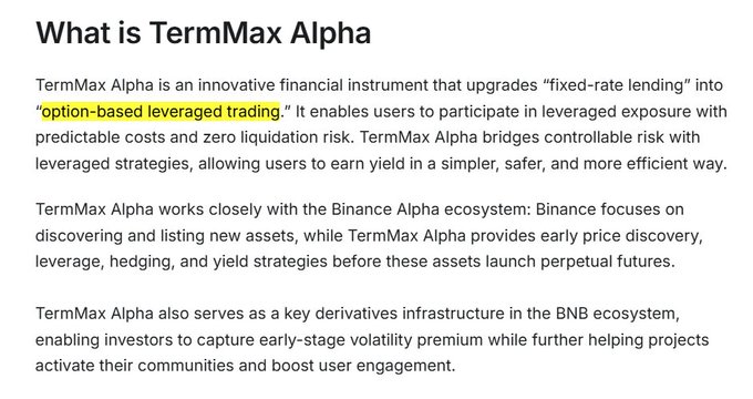 An informational page titled "What is TermMax Alpha" describing it as an innovative financial instrument that upgrades fixed-rate lending into "option-based leveraged trading," integrated with the Binance Alpha ecosystem.