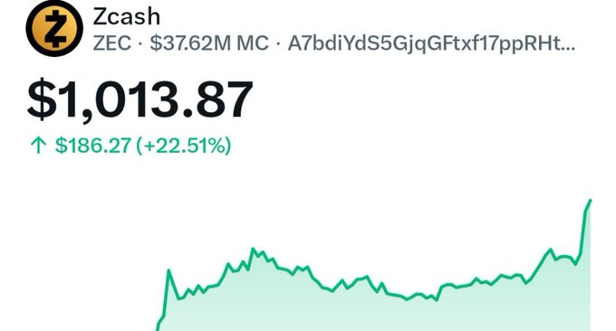 A cryptocurrency price chart for Zcash (ZEC) showing a current price of $1,013.87, up $186.27 (+22.51%), with $37.62M market cap.