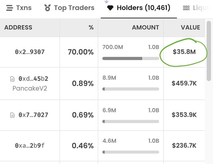 A cryptocurrency holder distribution table showing address '0x2...9307' holding 70.00% (700.0M tokens) valued at $35.8M (circled in green), compared to smaller holders like PancakeV2 at 0.89% ($459.7K).