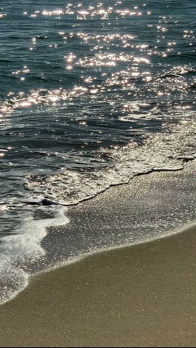 Sunlight sparkles on the gentle waves as they lap onto a wet, sandy shoreline.