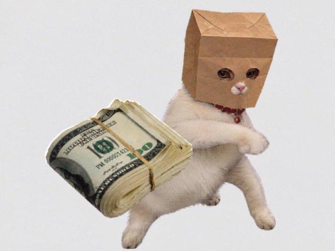 A white cat wearing a brown paper bag over its head like a mask, carrying a large bundle of hundred-dollar bills in its mouth.