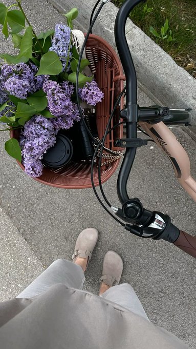 A first-person view looking down at beige suede shoes and gray pants, with a bicycle handlebar and a wicker basket filled with purple lilac flowers on a paved path.
