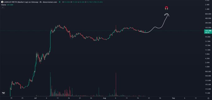 The post's hand-drawn upward arrow pointing to a magnet over the CASHCAT/METH price chart visualizes the bullish prediction that $CASHCAT will break out into price discovery after consolidating below its prior all-time high near $166M market cap.