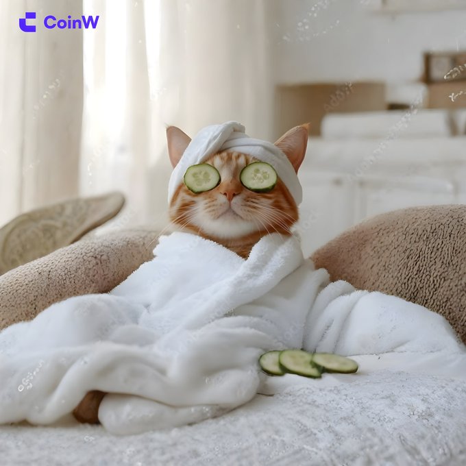 An adorable orange tabby cat relaxes in a plush white robe with cucumber slices over its eyes, enjoying a luxurious at-home spa day complete with more cucumber slices on the towel. The "CoinW" logo appears in the top left corner, tying into the post's playful dilemma between coffee or a spa after a profitable trade—suggesting the cat is clearly choosing the pampering route worth celebrating.