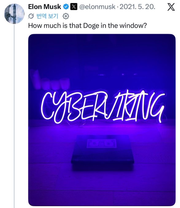 A screenshot of an X (formerly Twitter) post by Elon Musk (@elonmusk) from May 20, 2021, captioned 'How much is that Doge in the window?' shows a purple neon 'CYBER 𓂀 DOG' sign.