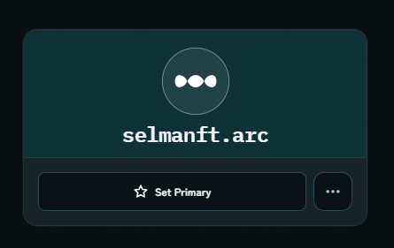 A dark profile card displaying the username 'selmanft.arc' with a 'Set Primary' button.