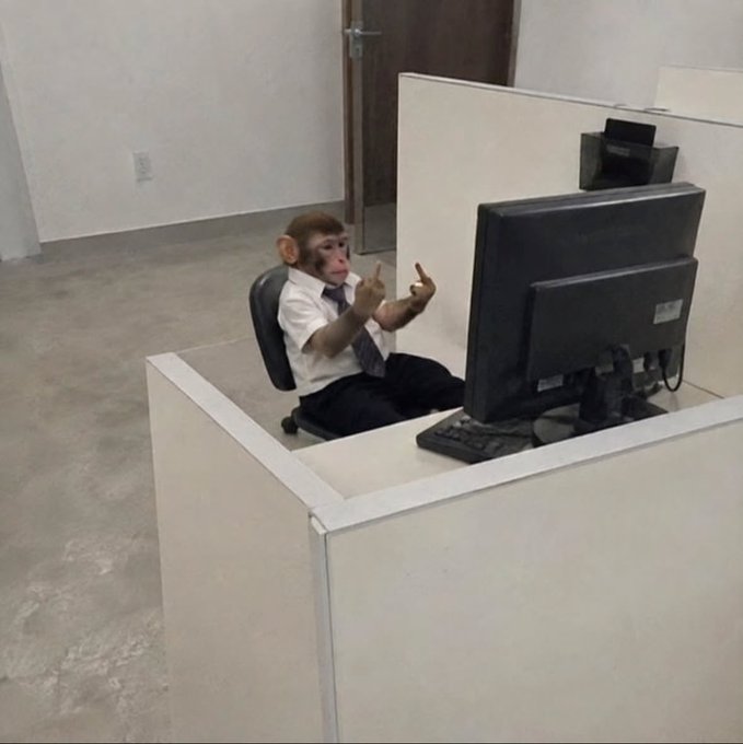 A humorous photo of a monkey dressed in a white shirt and tie, sitting at a desk and gesturing with both hands while sitting in front of a computer monitor.