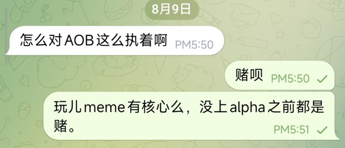 A Chinese-language chat conversation from August 9th discussing meme tokens, with one user asking about being obsessed with AOB and the reply stating '赌呗' (just gamble) and that meme coins are gambling before they hit alpha.