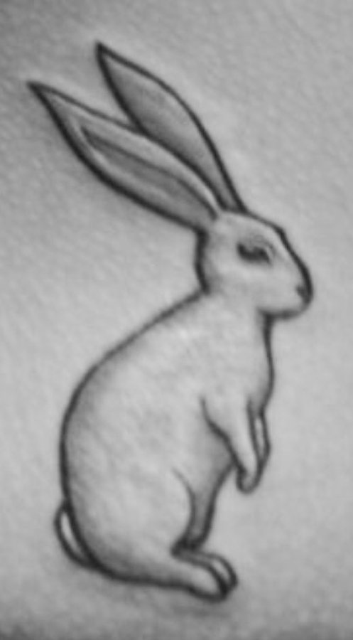 A grayscale sketch of a white rabbit sitting upright with long ears stands out against a textured paper background, visually echoing the post's reference to the "white rabbit" and *The Matrix* symbolism of self-custody and awakening within the Bitcoin community.