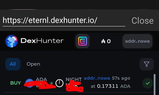 Mobile browser view displaying the URL 'https://eternl.dexhunter.io/' for the DexHunter application, showing a trade entry for ADA/NIGHT at 0.17311 ADA with a balance of ₳0.