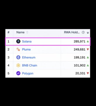 The image shows a table with columns for different cryptocurrency names, such as Bitcoin, Ethereum, BNB Chain, and Polygon. The table also displays the number of total RWA holders for each cryptocurrency. The main focus of the image is on the column labeled "SOLANA" which has the highest number of total RWA holders among all the cryptocurrencies listed in the table.