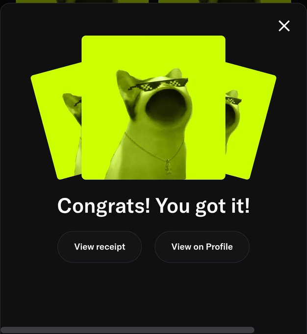 A digital card showing a cartoon cat wearing pixelated sunglasses, with text reading 'Congrats! You got it!' along with 'View receipt' and 'View on Profile' buttons.