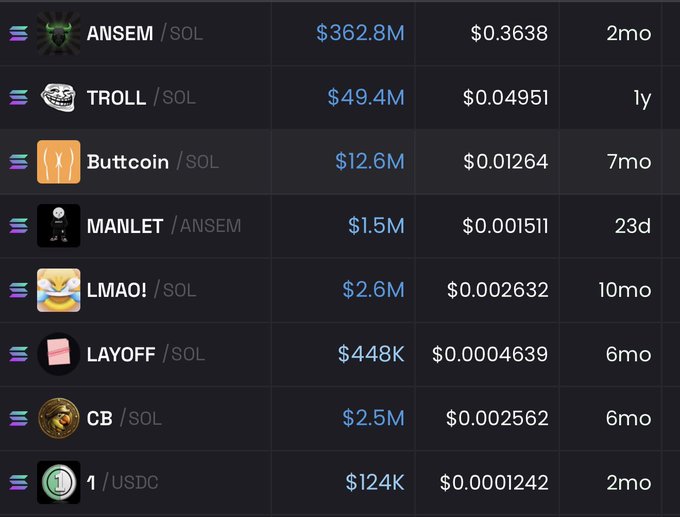 A cryptocurrency tracking dashboard displays the user's Solana-based meme coin holdings, including ANSEM ($362.8M, $0.3638), TROLL ($49.4M, $0.04951), Buttcoin ($12.6M, $0.01264), MANLET ($1.5M, $0.001511), LMAO! ($2.6M, $0.002632), LAYOFF ($448K, $0.0004639), CB ($2.5M, $0.002562), and 1/USDC ($124K, $0.0001242). The image directly illustrates the poster's Solana portfolio, showing their long-term "bags" alongside each token's age (ranging from 23 days to 1 year), supporting their comment about being underexposed to long-term holdings on both chains.